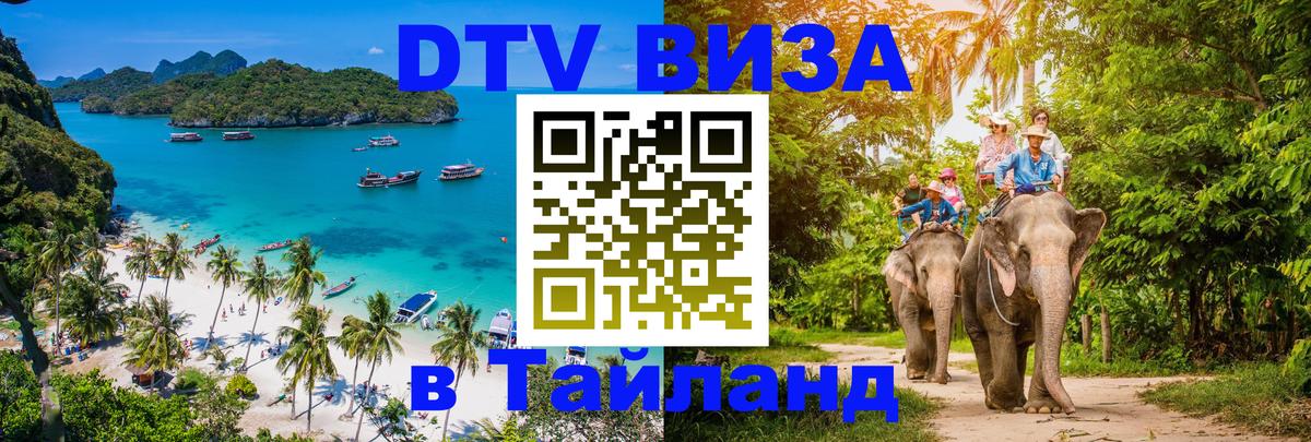 Оформление DTV визы под ключ: стоимость и тарифы, только загранпаспорт - 